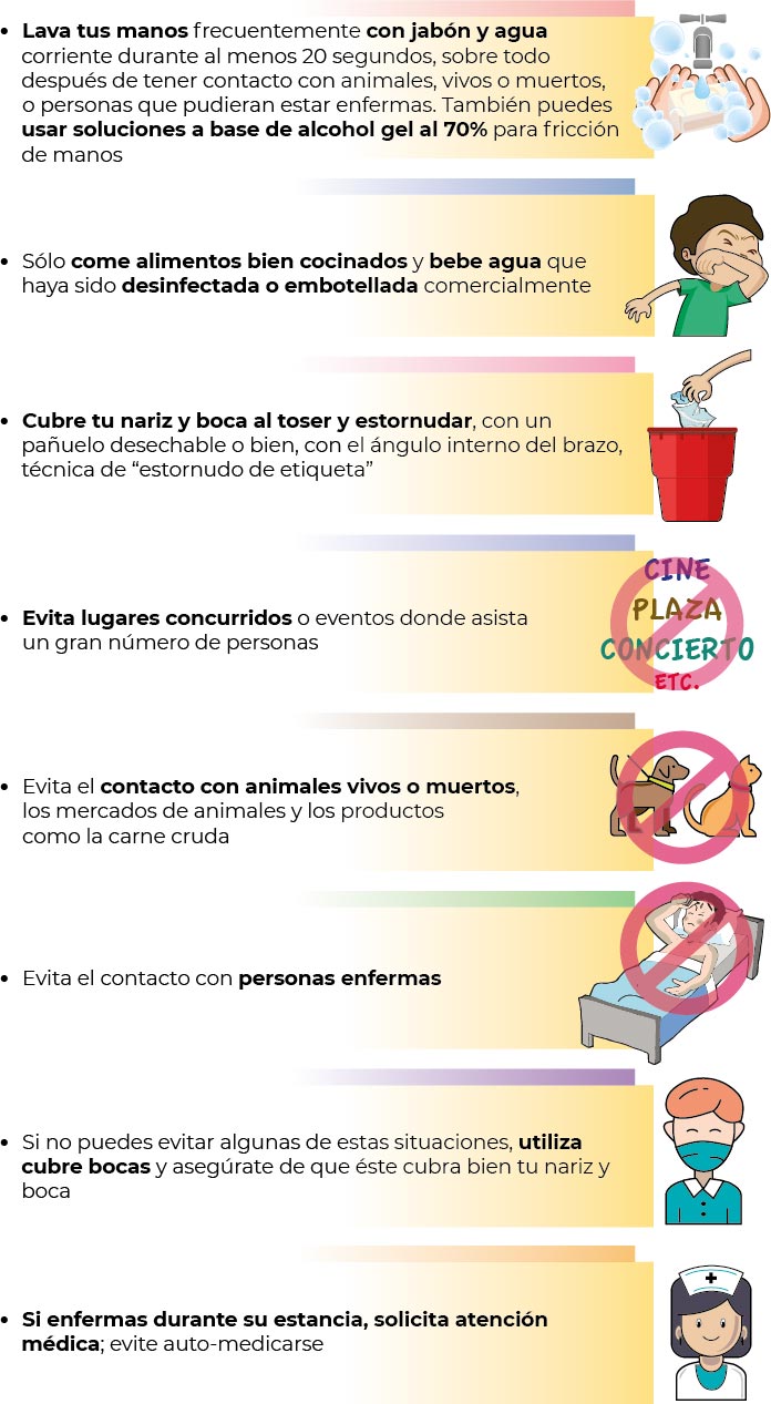 Alternativas simples para cubrir enfermedades comunes