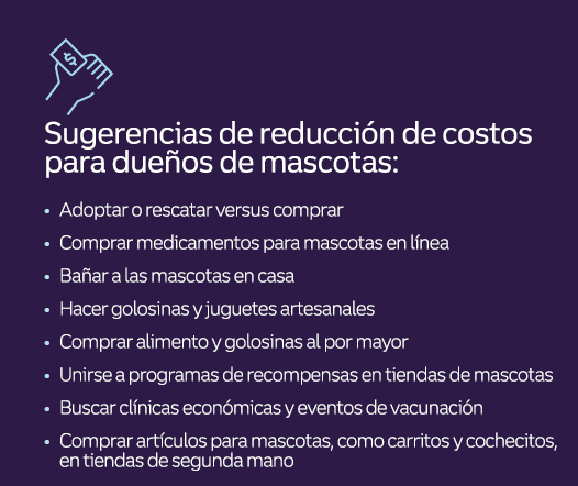 Alternativas simples para cubrir gastos veterinarios