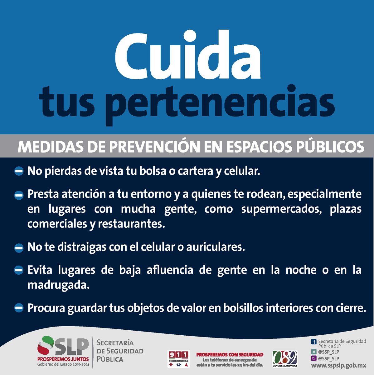 Aspectos clave al elegir protección para tus pertenencias