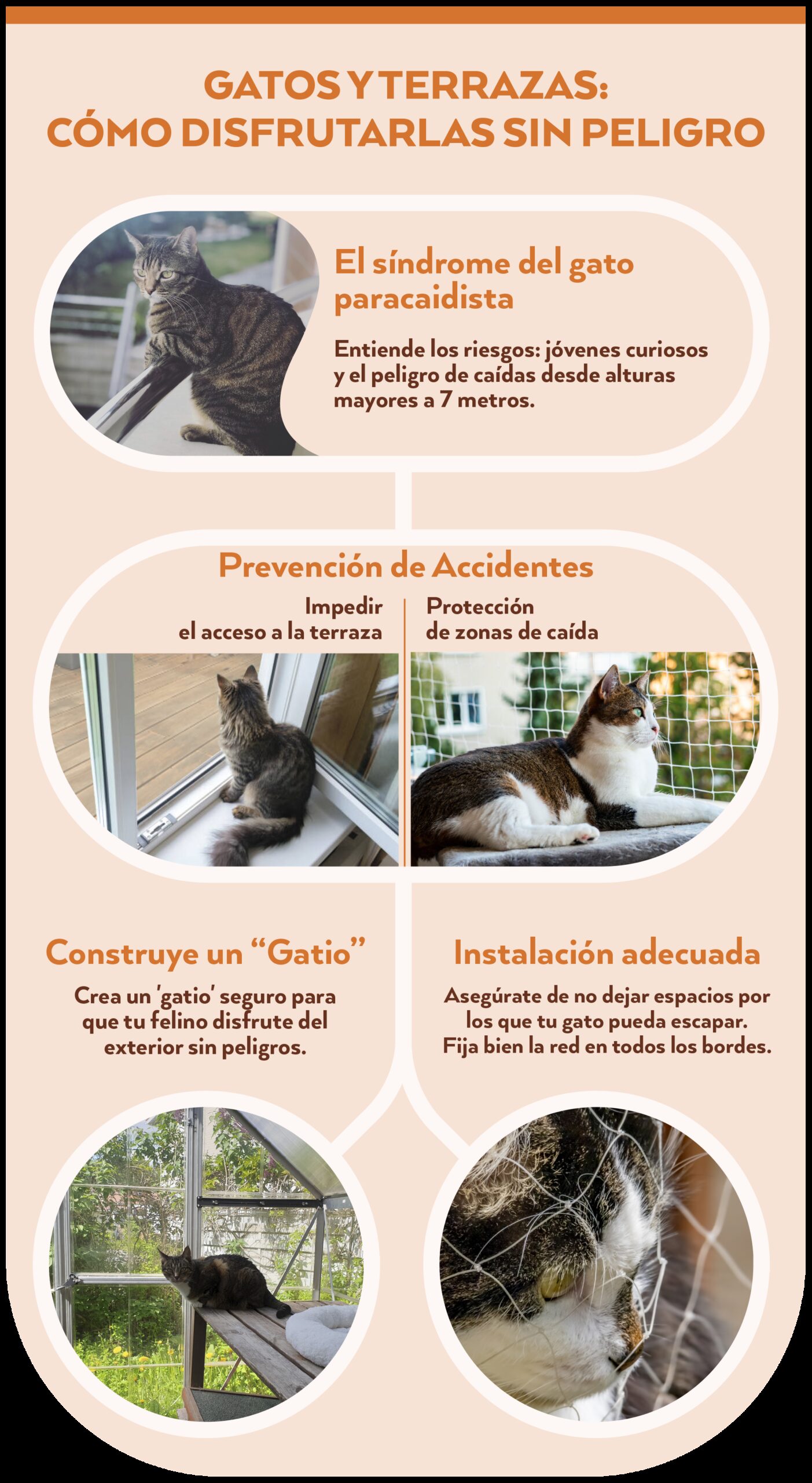 Cómo comparar opciones de protección para gatos