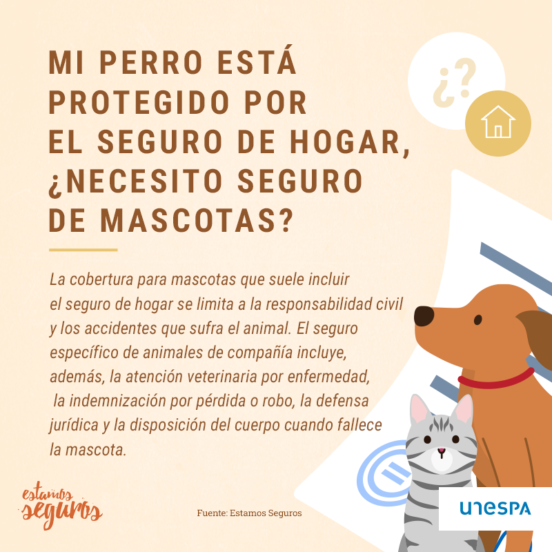Cómo funciona un seguro para mascotas