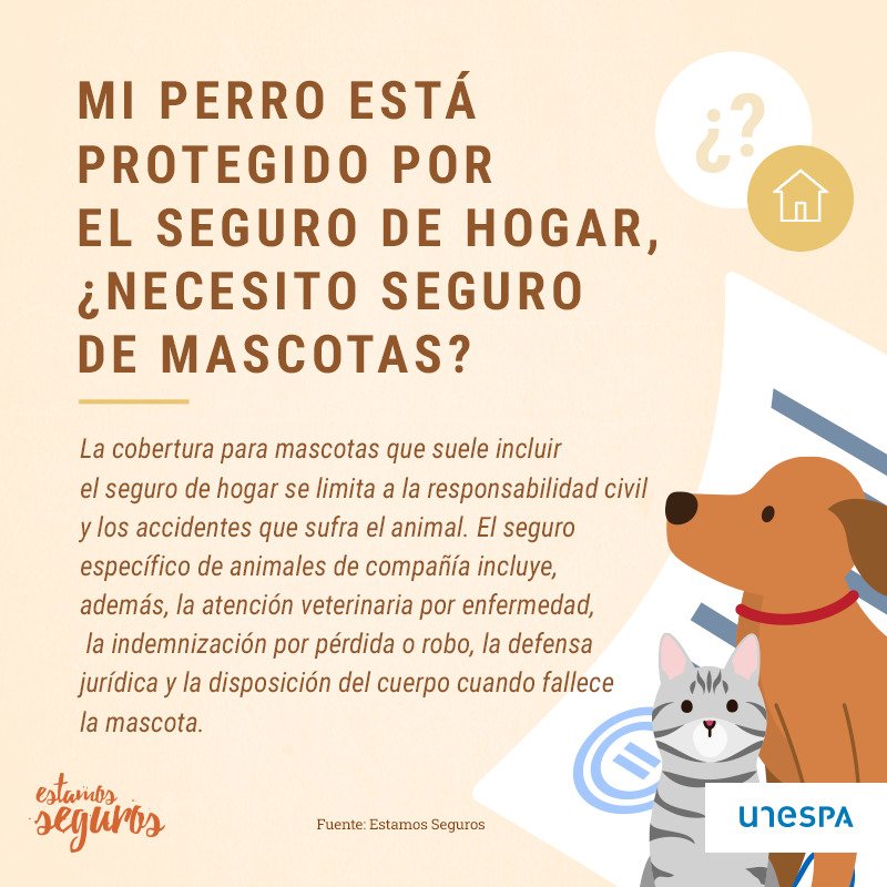 Consejos para contratar cobertura para mascotas